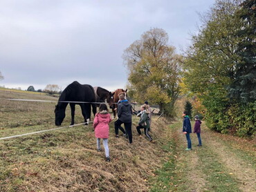 Minifreizeit Strümpfelbach 2018